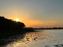 -丁香湖公园