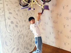 -金山农民画村-枫泾波兰倒置屋