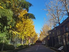 -钓鱼台国宾馆