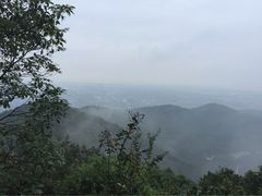 -雨花胜境