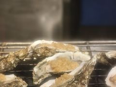 -威珀斯酒店·珀萃美食餐厅 | 海鲜刺身·现烤生蚝·特色烤肉