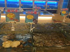 -中国饭店-餐厅