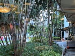 -勝記酒家·37年老字号·经典粤菜(荔枝公园店)