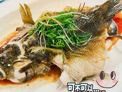 -红棉中餐厅·广州海航威斯汀酒店