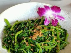 泰炒空心菜-POKIPOKI泰食谷仓东南亚菜(侨香店)