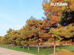 -汉长安城未央宫国家考古遗址公园