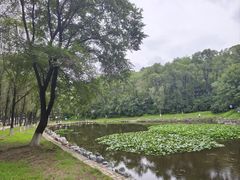 -高尔山公园