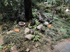 -陕西自然博物馆