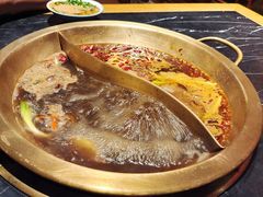 -杨家火锅(国美店)