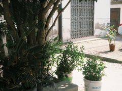 -花园菜市场