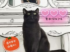 -白夜2D咖啡馆