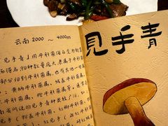 -滇野云南野生菌餐厅(陕西南路店)