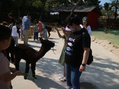-西霞口神雕山野生动物世界