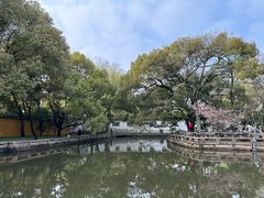 -西园戒幢律寺
