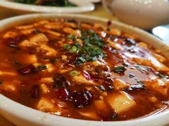 麻婆豆腐-大鸿运酒店·苏州菜·松鼠桂鱼(观前街店)