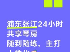-缪斯琴行英皇小提琴.钢琴.吉他(张江店)