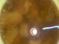 -达道武仔牛肉店(广达路店)