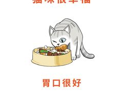 -lincat·猫舍(广州店)