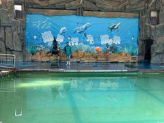 -合肥野生动物园