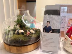 -齐玉齿科JADENTAL