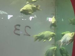 -北戴河圣蓝海洋公园