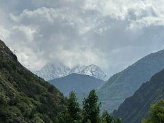 -金鼎雪山牦牛杂火锅(理县总店)