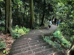 -凤栖山