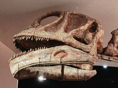 -自贡恐龙博物馆