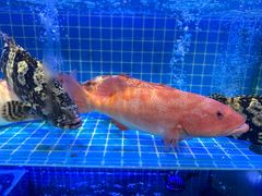 -启东小海鲜(庄先湾路1号店)