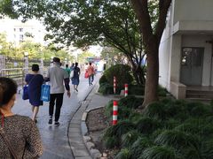 -上海市浦东新区人民医院·门诊