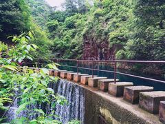 -大奇山国家森林公园