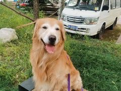 -宠福鑫康馨动物医院·骨科·眼科