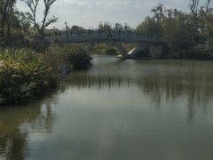 -上海长兴岛郊野公园