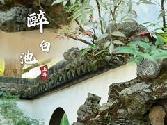 -上海醉白池公园