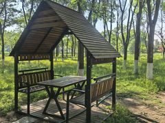 -大兴滨河森林公园