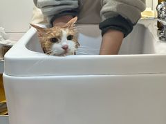 -帕帕拉兹宠物(亚洲旗舰店)