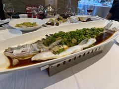 -沪碟·精菜坊(闵行店)