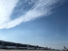 -上海浦东国际机场-T2航站楼