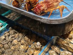 -青蓬蒸汽海鲜·深圳老字号·团建聚会(壹方城店)