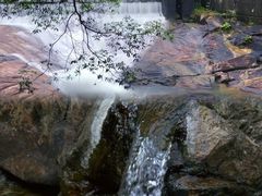 -广州白江湖森林公园