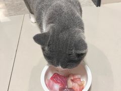 -橼舍鮨青木