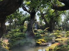 -Chom Cafe and Restaurant