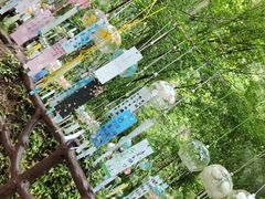 -剑门关风景区