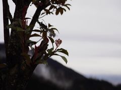 -天台山景区
