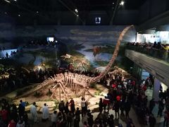 -自贡恐龙博物馆