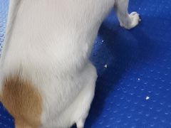 -佳雯宠物医院(金华南路分院)