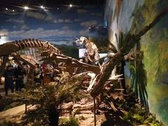 -自贡恐龙博物馆