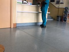 -宠颐生维康宠物医院(金丰店)