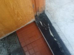 -巢爷老味(东方红店)