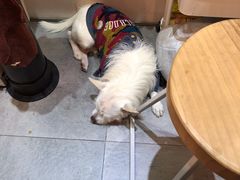 -悟白咖啡WoobyCafe